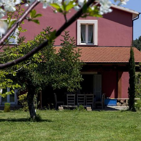 Agriturismo Campoletizia Miglianico Extérieur photo