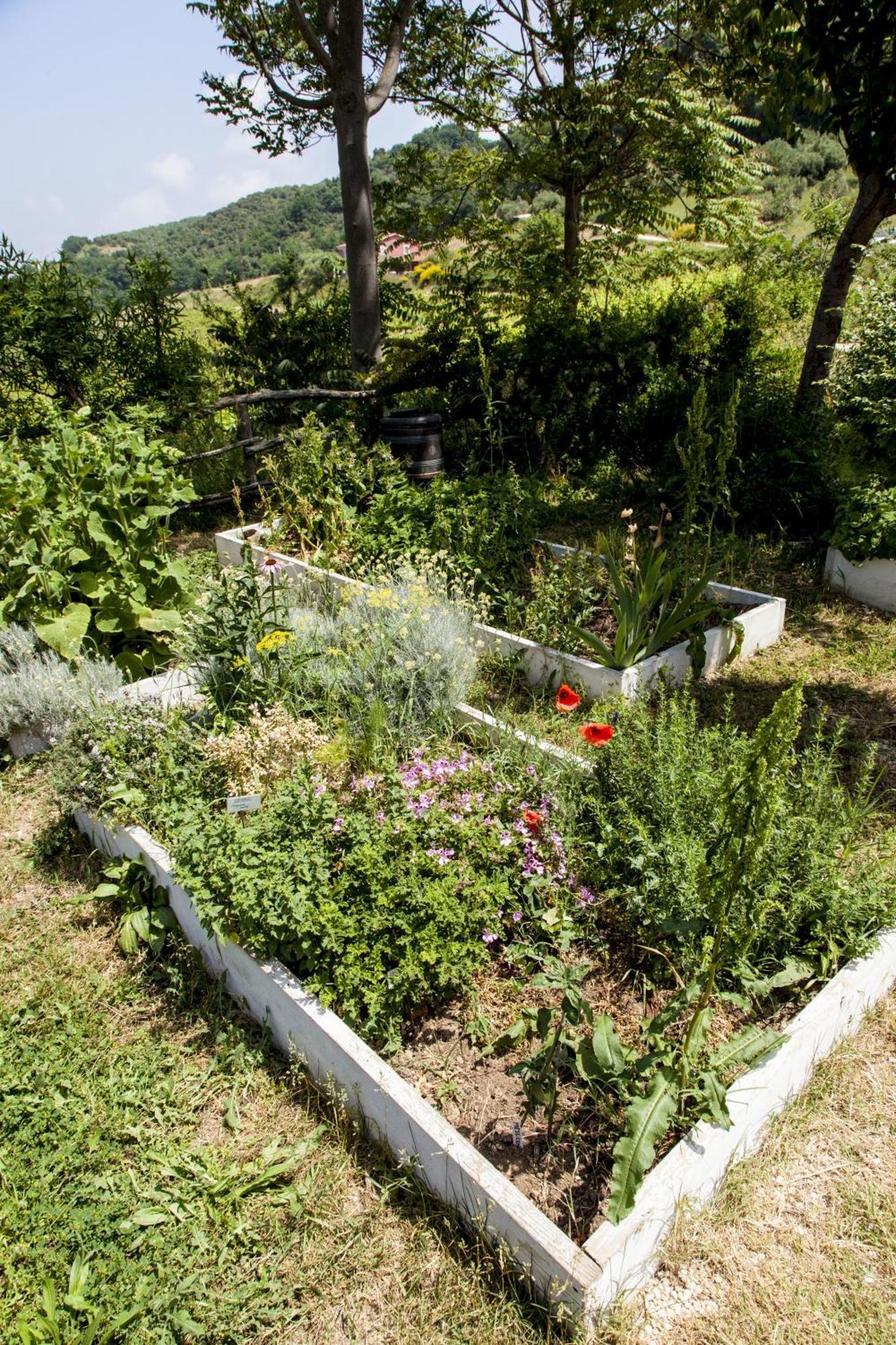 Agriturismo Campoletizia Miglianico Extérieur photo