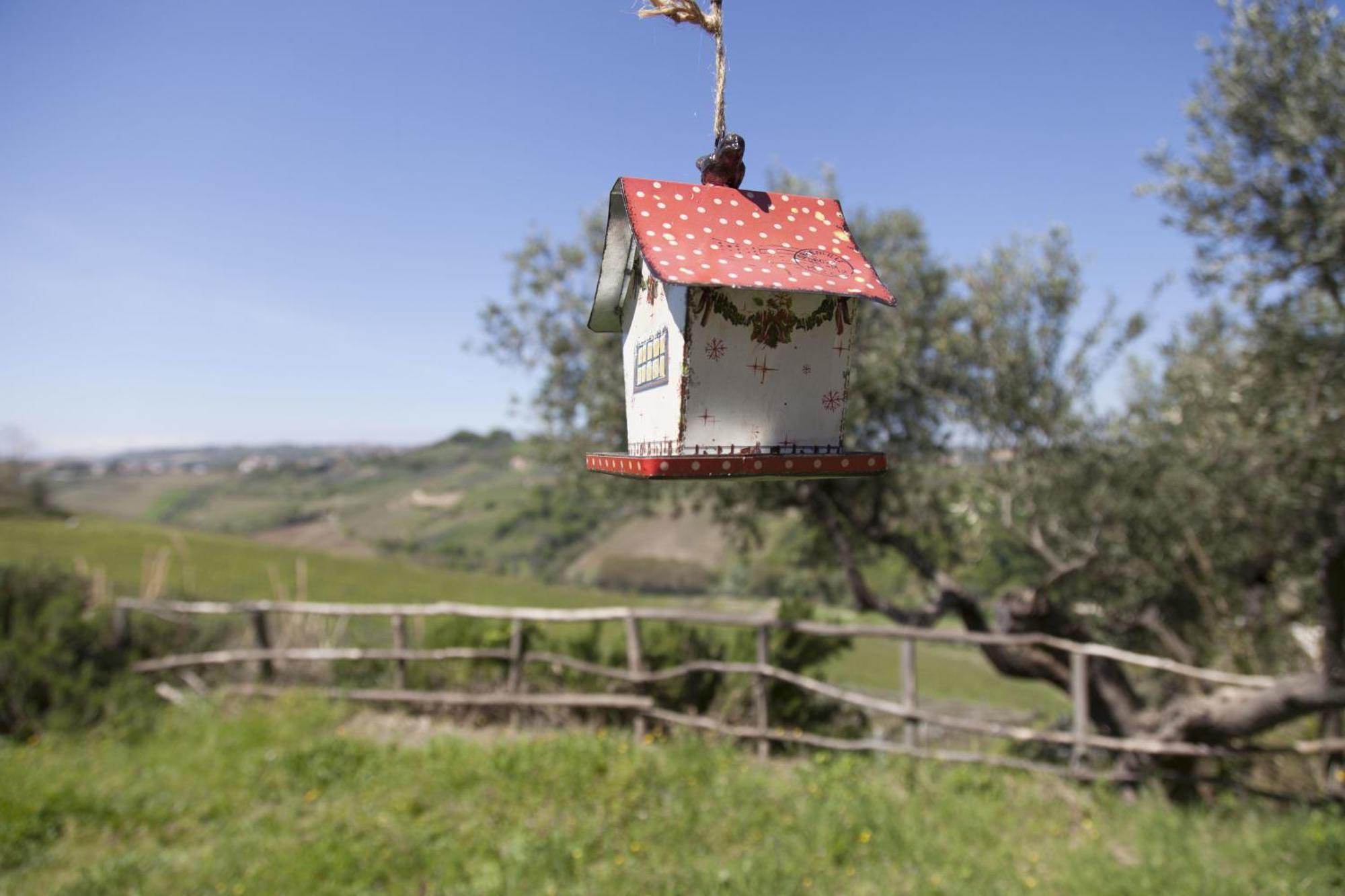 Agriturismo Campoletizia Miglianico Extérieur photo