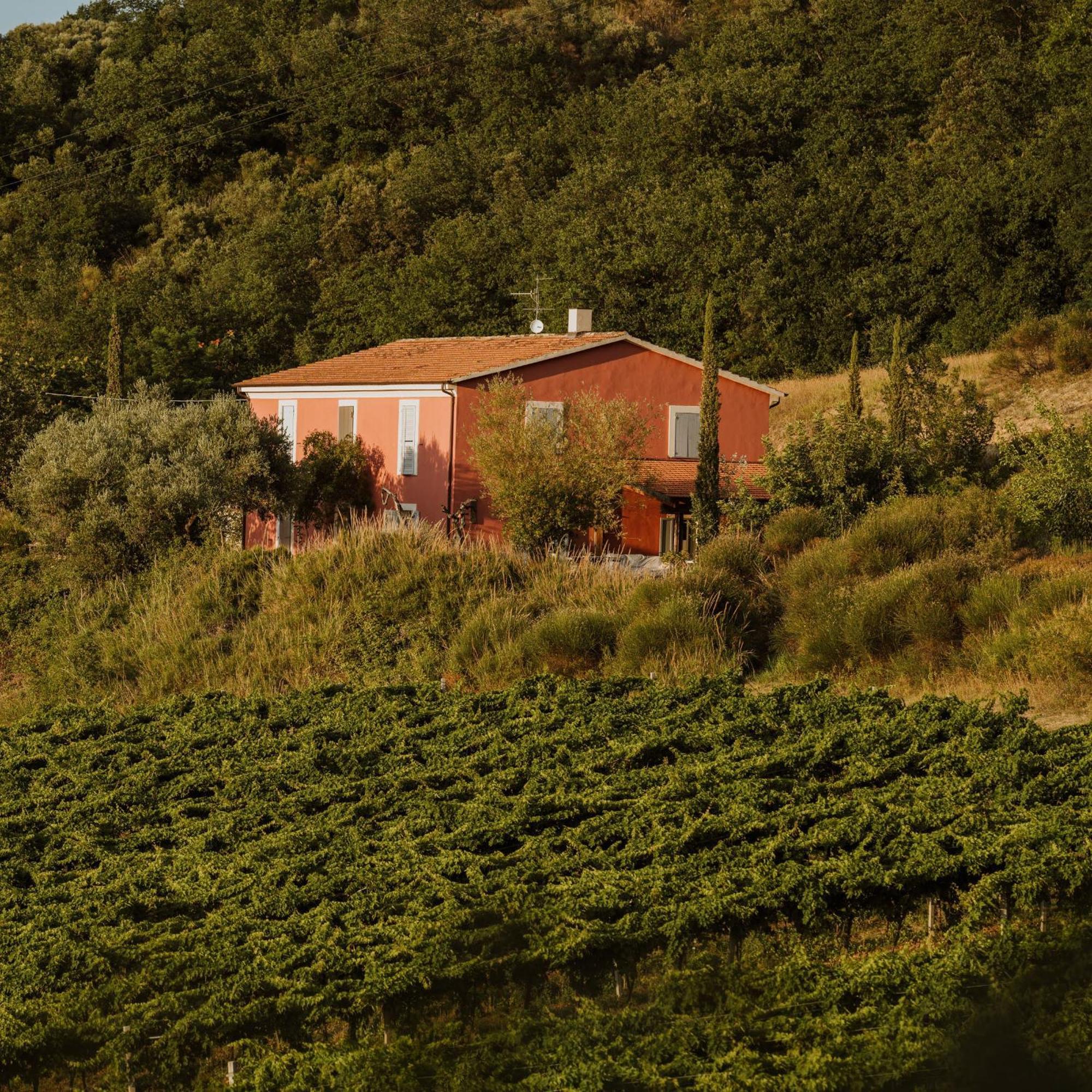 Agriturismo Campoletizia Miglianico Extérieur photo