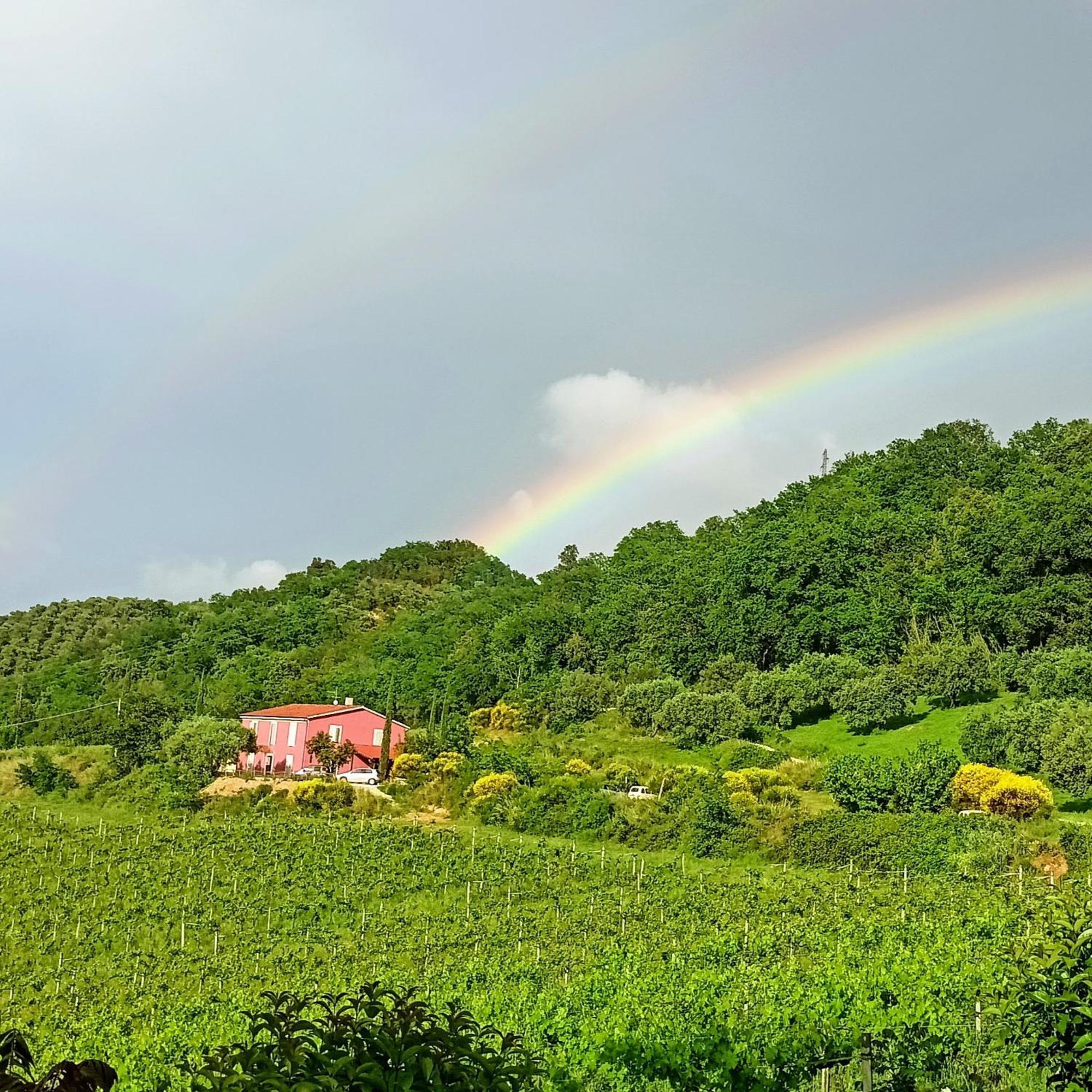 Agriturismo Campoletizia Miglianico Extérieur photo